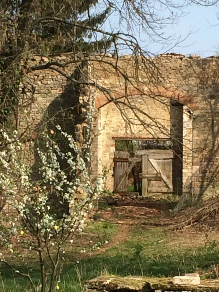 frühling in der burg